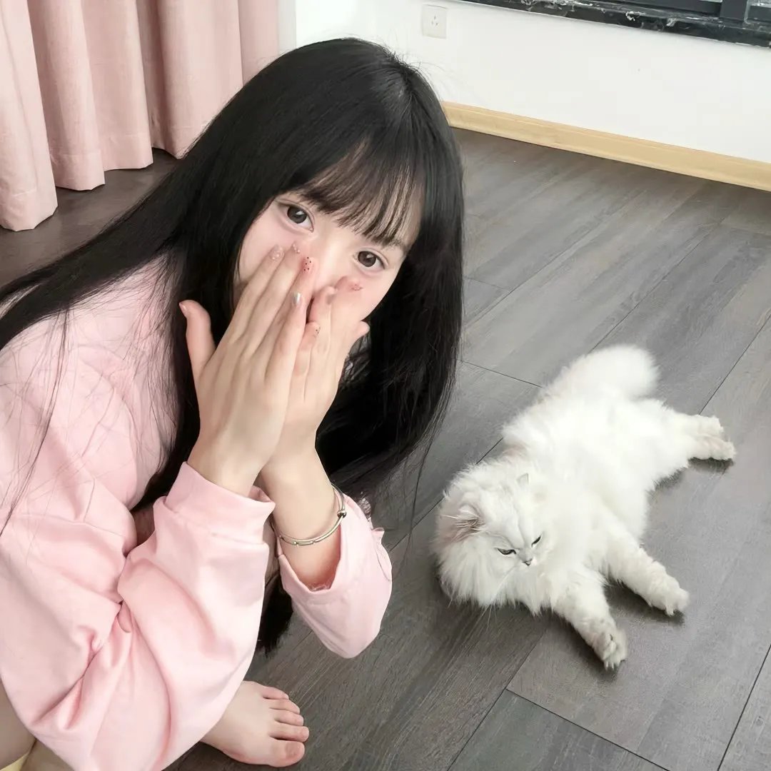 继承者风云