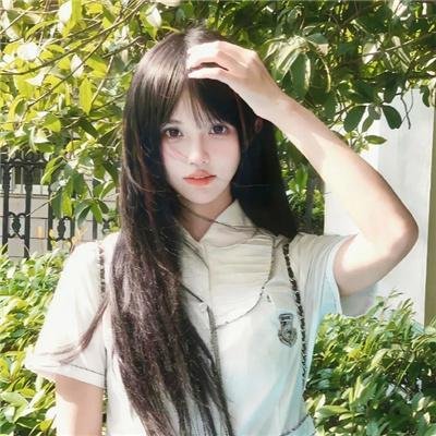 垂花琴木