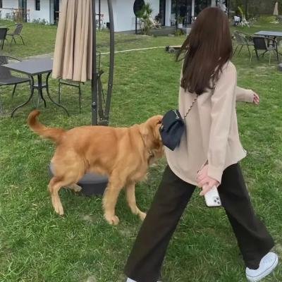 三生有幸遇上你